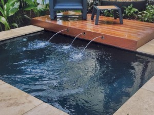 Leisure fiberglass pool fiji plunge pool