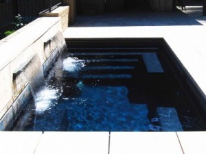 Leisure fiberglass pool palladium plunge pool